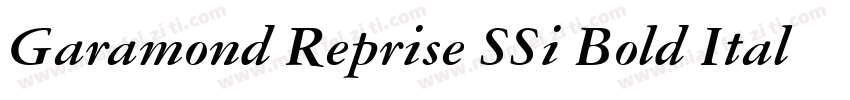 Garamond Reprise SSi Bold Italic字体转换